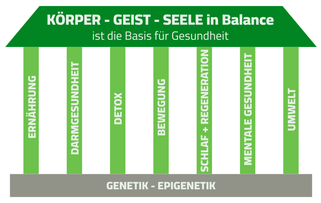 Grafik zum Prinzip der Behandlung - Ernährung, Darmgesundheit, Detox, Bewegung, Schlaf + Regeneration, Mentale Gesundheit, Umwelt