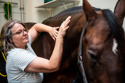 Alexandra Stampfli macht eine Behandlung am Pferd, Gesundheit für Pferde, Equine Health